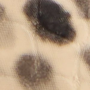 Adrelya - Image 8
