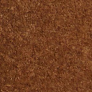 Nolya - Image 7