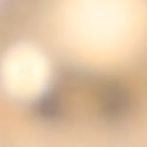 Pearlette - Image 3